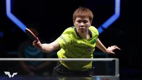 陳思羽。(取自World Table Tennis)