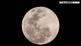 元宵節,賞月,超級月亮　圖／記者林士傑攝影