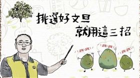  中秋,文旦。（圖／翻攝自張汶肇臉書）