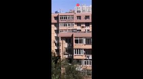 大連頂樓遛狗摔死（圖／翻攝自網易視頻）