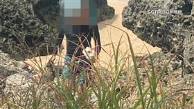 墾丁又傳盜採珊瑚石 遊客撈魚蝦