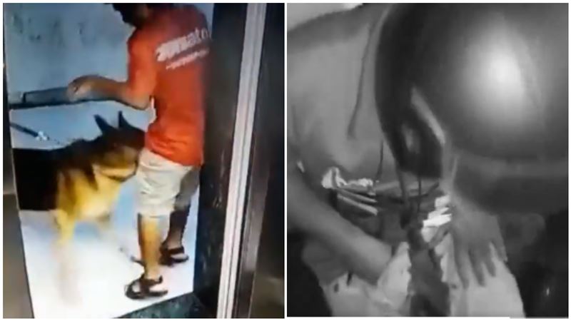 真的蛋疼！外送員慘被咬下體褲襠爆血