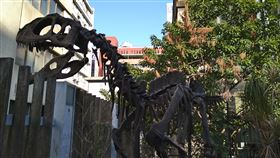 「土銀展示館」恐龍餐廳/蕭廷芬攝影