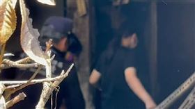 台南,火警,孫女,烤肉,電烤盤,延長線,火調