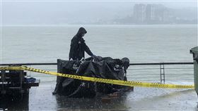 淡水河岸漂浮屍！民眾嚇壞急報案