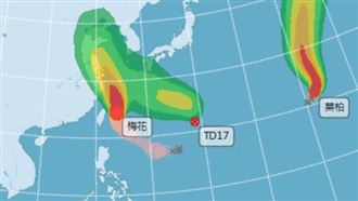 新／梅花帶雨下不停　桃園3處停上班