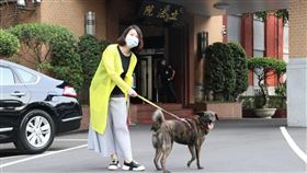 吳思瑤曾說，立法院就是ZaZa的家。（圖／翻攝自吳思瑤臉書）