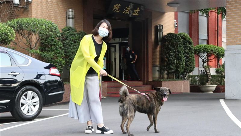 助理怕狗借會議室辦公　吳思瑤回應了