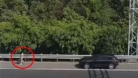 ▲國道路肩遛狗。（圖／翻攝自沸點視頻微博）