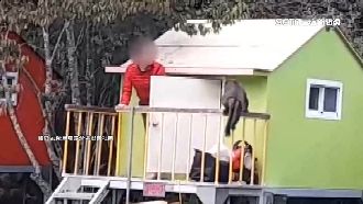 聞香而來！獮猴闖露營區與露友對峙