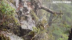 新／重大進展！峭壁找到失聯法官衣物（圖／翻攝畫面）