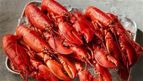 波士頓龍蝦,台北喜來登提供