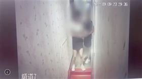 ▲民眾在臉書靠北警察爆料，萬華偵查隊員警到阿公店喝花酒還打小姐。萬華分局澄清無打人。（圖／翻攝畫面）