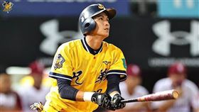 ▲中信兄弟岳政華。（圖／中信兄弟球團提供）