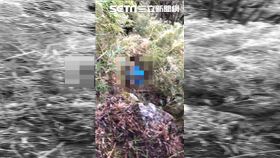 陳伯均法官（圖／翻攝畫面）