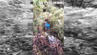 尋獲法官畫面曝！疑失足跌落山谷