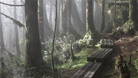 翠峰湖環山步道(羅東林管處提供)