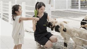 宜蘭黑RURU CAFE（圖／IG使用者提供）