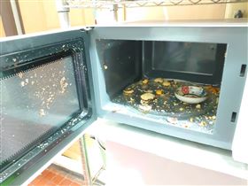 鴨蛋,蛋黃酥,中秋,微波,微波爐