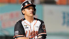 郭阜林開轟後下個打席馬上被觸身球砸中。（圖／統一獅提供）