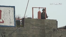 V開放大膽島0700(DL)