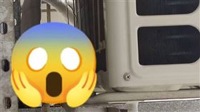 鳥在冷氣室外機築巢（圖／翻攝自爆廢公社）