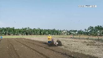 依雨量做理賠依據　屏東首推紅豆保單