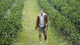 賈斯汀(沃土影像提供)
