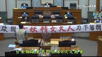 饒慶鈴遭控砍樹女妖精　台東縣府回應