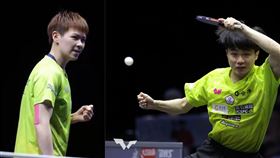 ▲台灣桌球好手林昀儒和陳思羽首度搭檔混雙。（組合圖／翻攝自WTT官網）