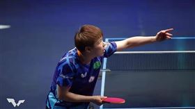 ▲台灣桌球好手陳思羽。（圖／翻攝自WTT官網）