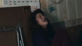 百白《走過愛的蠻荒》（圖／三禾行銷提供）