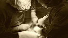 -手術-開刀-示意圖／pixabay