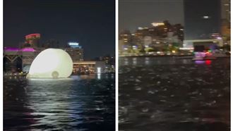 地震異象！高雄愛河上百魚群跳出水面