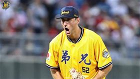 中信兄弟洋投泰樂。(圖／中信兄弟提供)