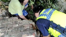 台南,台東,地震,浪浪,圍牆,輕傷,哀嚎