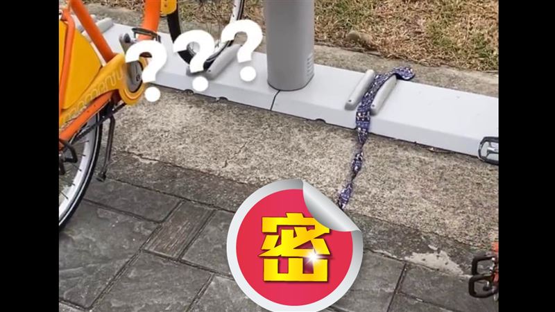 Ubike站竟見銷魂胸罩　他傻眼了