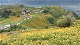 60石山(許雅惠攝影)