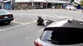天搖地動！騎士晃到摔車　野狗驚嚇逃竄