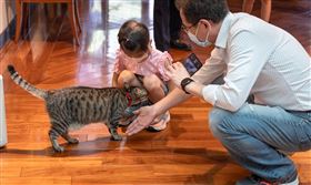 「抗癌小天使」潘盈希病逝（圖/翻攝自鄭運鵬臉書）