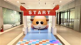 天竺鼠車車現身MITSUI OUTLET PARK,MITSUI OUTLET PARK提供