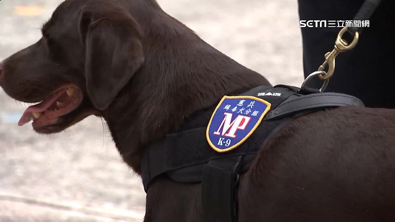 憲兵緝毒犬協助辦案　嗅覺找出藏匿毒品