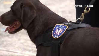 憲兵緝毒犬協助辦案　嗅覺找出藏匿毒品