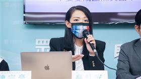 高虹安。（圖／民眾黨提供）