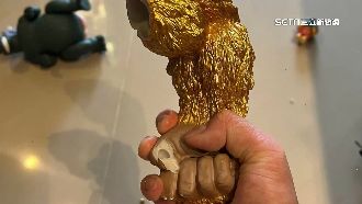 獨／地震！近萬黃金大猿摔毀「手臂慘斷」