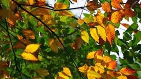 秋天https://www.flickr.com/photos/13523064@N03/5237466850/in/photolist-8YPoqA-8YPioj-8YPhuL-8YLjAn-8YLk3B-8YLjgF-BbjQgd-BrtE7E-8YLqiT-8YLpKc-8YLgmF-8YPoTS-8YPnZm-gNR2tb-gNR5YD-8YPjfo-BBbeA3-8YPfUy-gNR2h