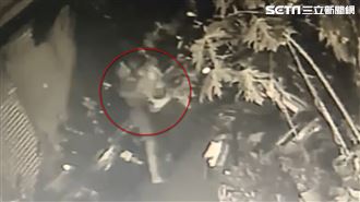 警狂毆路人引眾怒　三重分局懲處出爐