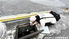 防疫人員於前鎮區水溝執行查核，檢視溝內無流動積水，並投藥防治，避免病媒蚊孳生。（圖／疾病管制署提供）