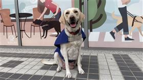 惠光導盲犬學校提供