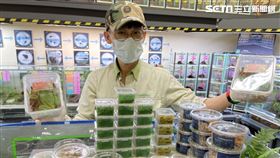 台北最會生的男人！他打造超豪華「催生套房」　年產2百餘隻箭毒蛙。（圖／台北市立動物園提供）